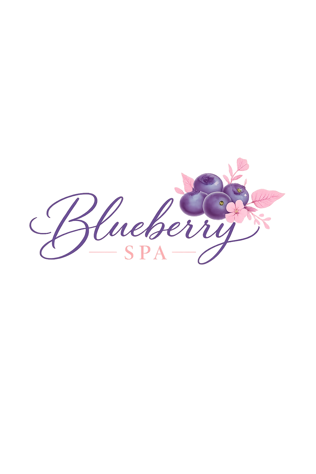 Logo de Blueberry spa