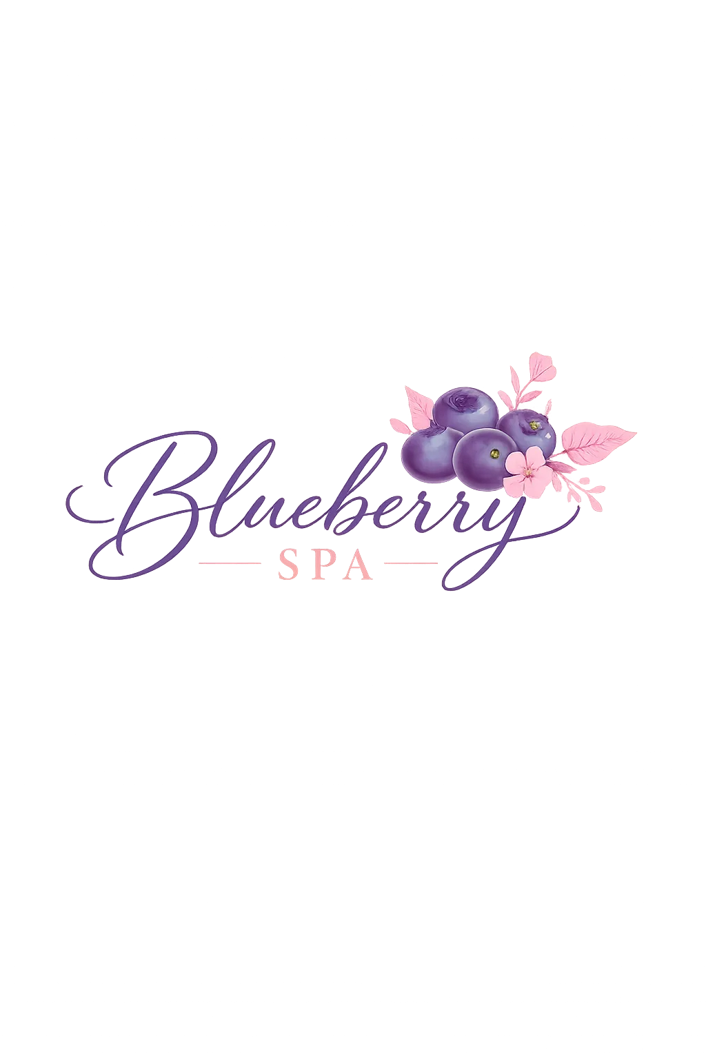 Logo de Blueberry spa