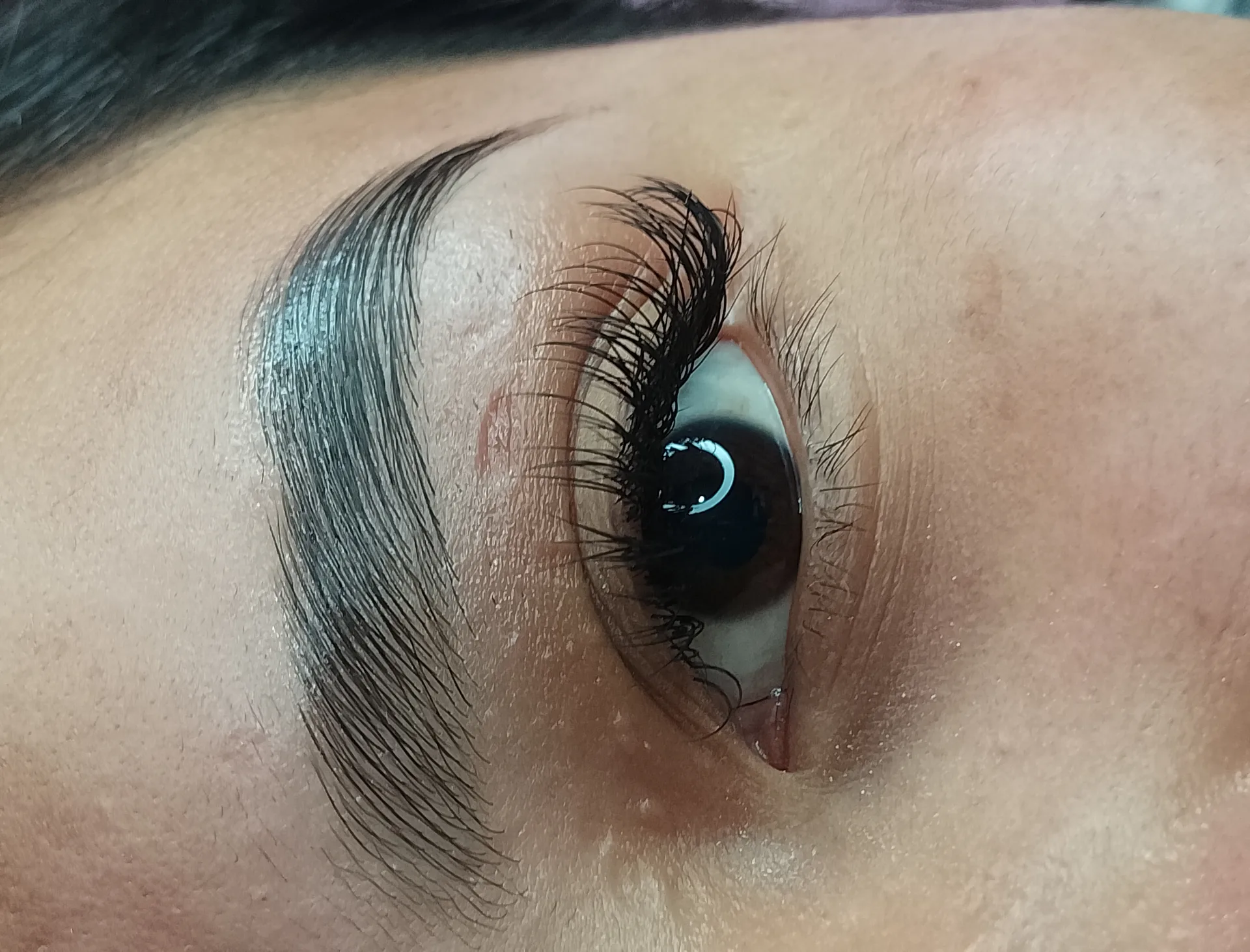 Extensiones clásicas