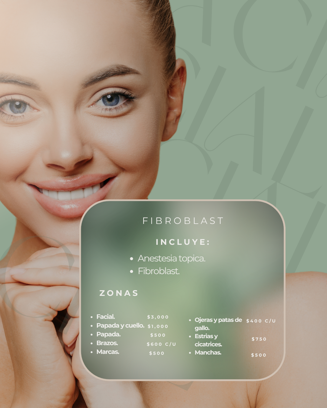 Fibroblast